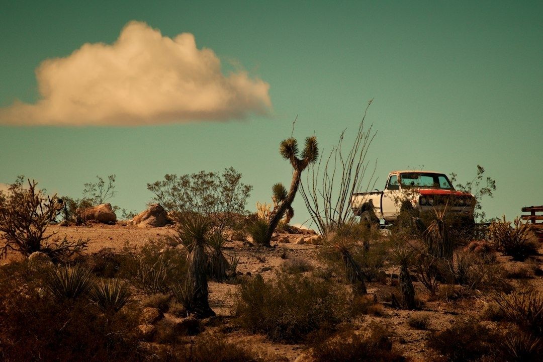 Alter Pick-up in trockener Wüstenlandschaft mit Joshua Trees und Felsen
